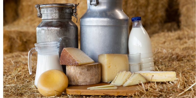 Evviva i fermenti lattici! Micro-ambasciatori della biodiversità della Lessinia nel formaggio