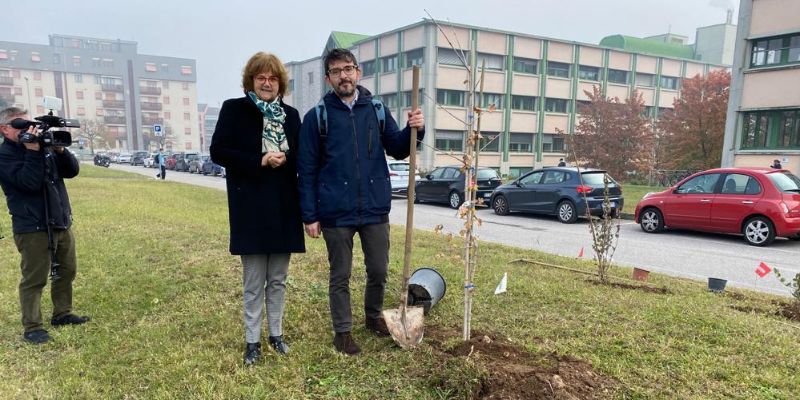 Piantati sette nuovi alberi a Cà Vignal