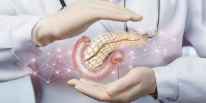 pancreas 800x400