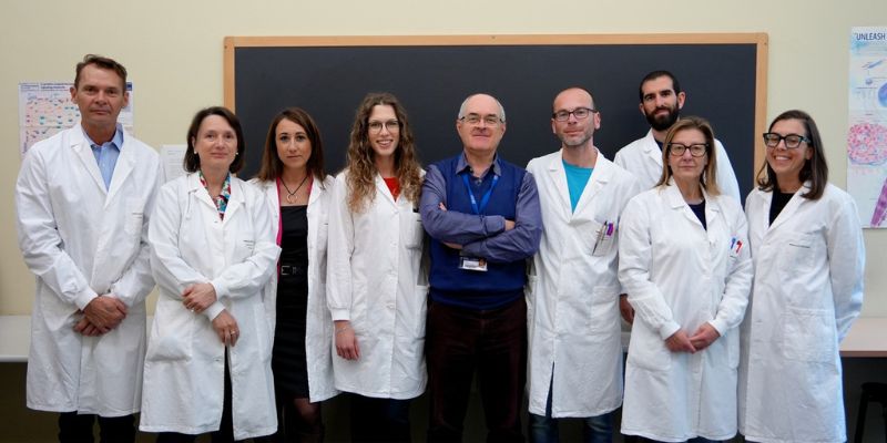Progetto di ricerca Univr, importante scoperta nel campo dell’immunologia