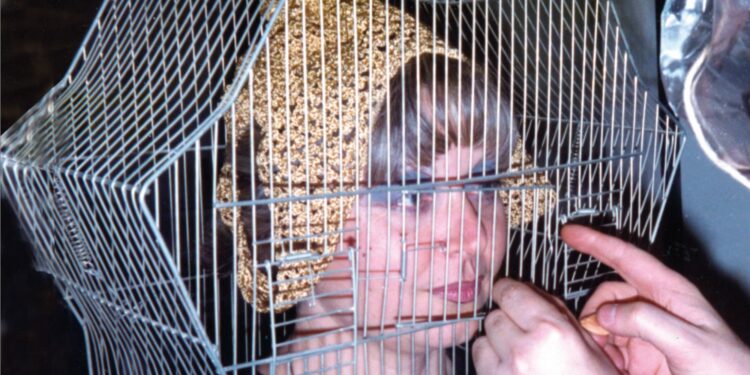 Tomaso Binga, "Donna in gabbia", 1975-2024