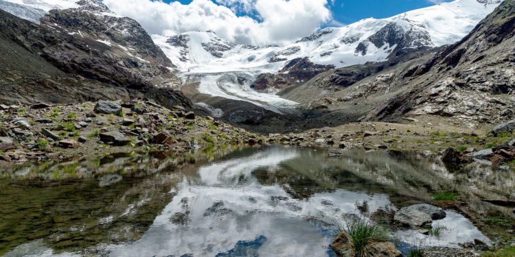 CREDITS: ADOBE - @WalterMapelli