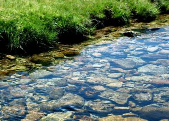 Photo Credits: @rookie72 - Adobe Stock