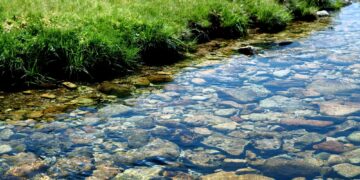 Photo Credits: @rookie72 - Adobe Stock