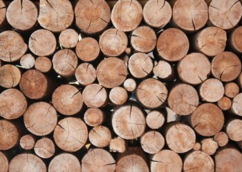 Photo Credits: @vadim yerofeyev - Adobe Stock