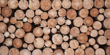 Photo Credits: @vadim yerofeyev - Adobe Stock