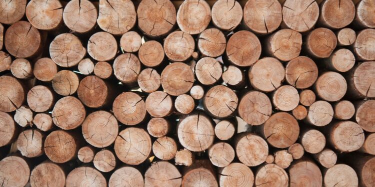 Photo Credits: @vadim yerofeyev - Adobe Stock