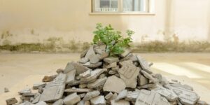 Progetto senza titolo (2)