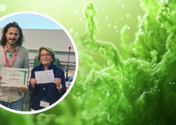 Photo Credits: Faziljan - Adobe Stock