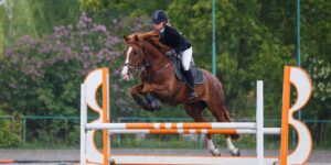 Equitazione 2000x1000