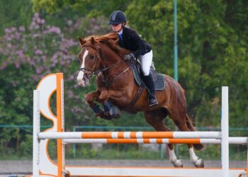 Photo credits: @skumer - Adobe Stock